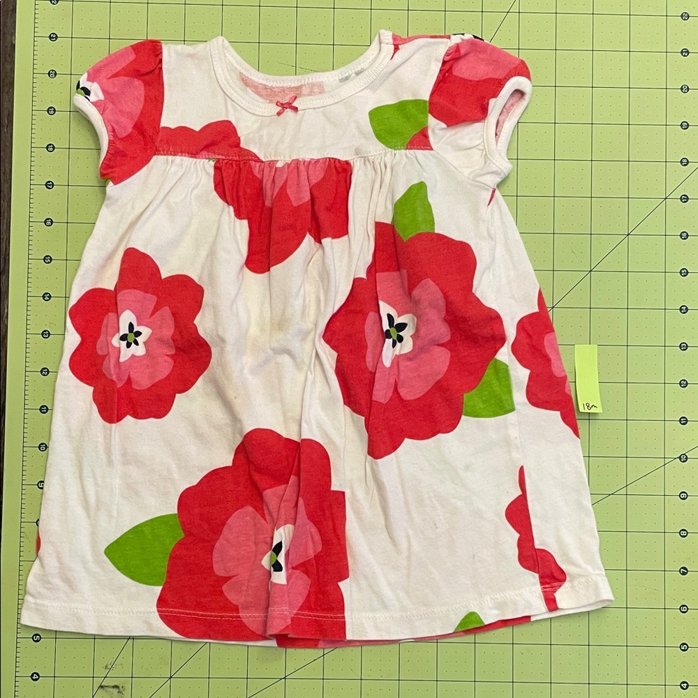 Carter's White and Red Floral Dress